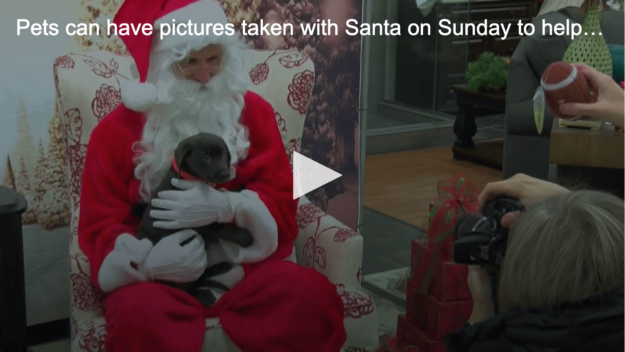 screenshot of santa holding a puppy