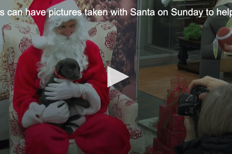 screenshot of santa holding a puppy